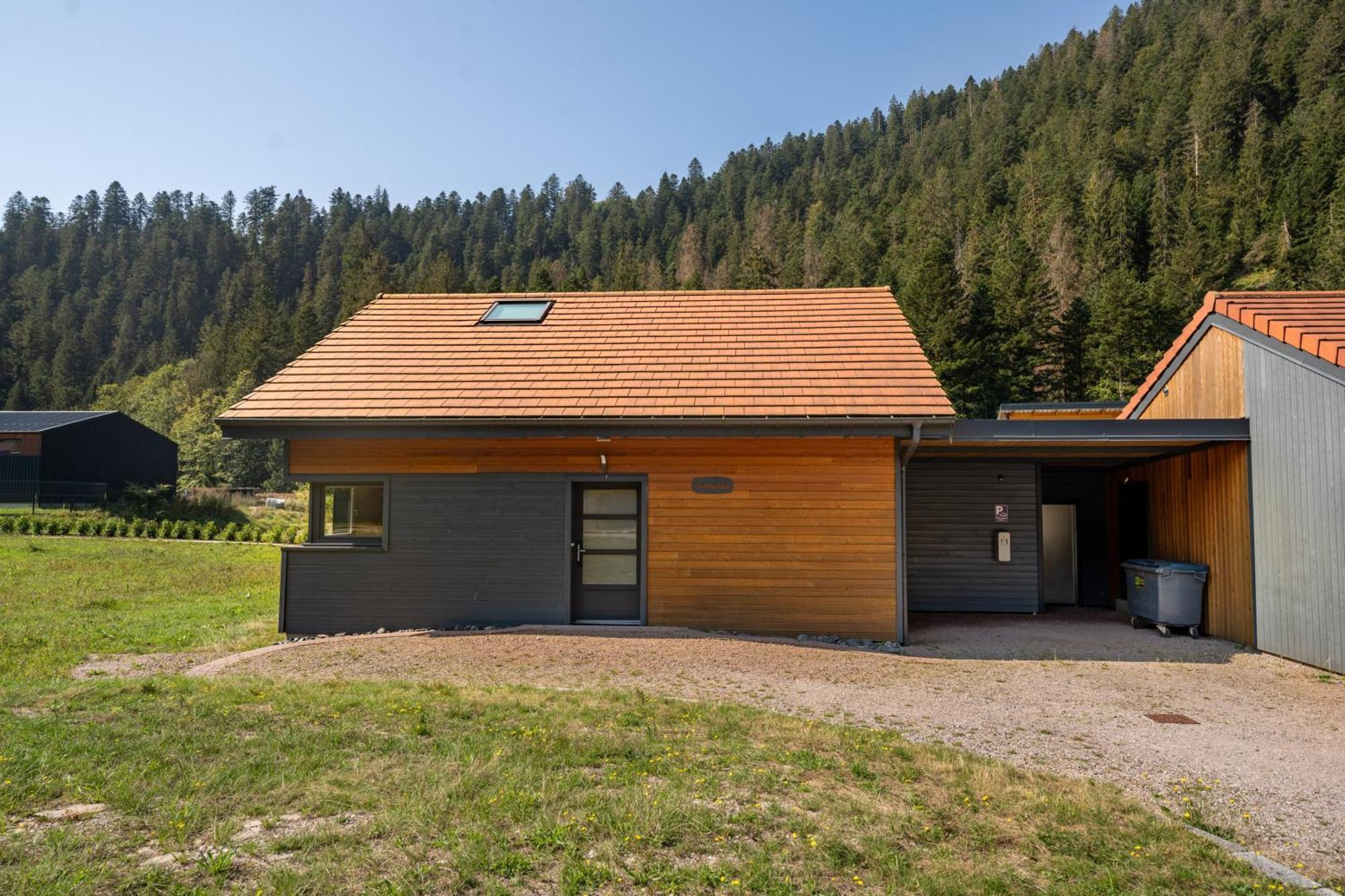 Chalet Nemesia Avec Spa A Gérardmer Екстериор снимка